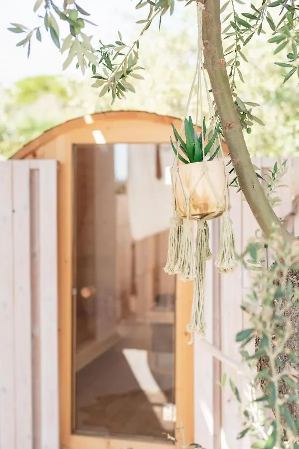 Cocooning Suites By Blue Carpet Pefkochori